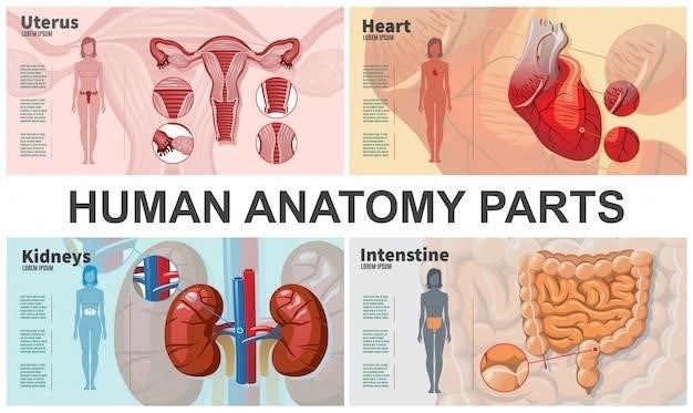 essentials of human anatomy & physiology laboratory manual